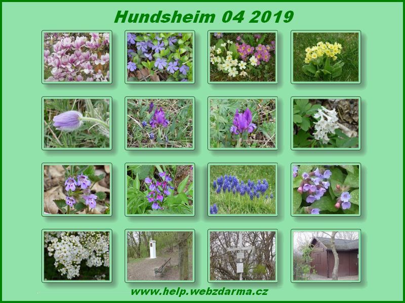 Hundsheim